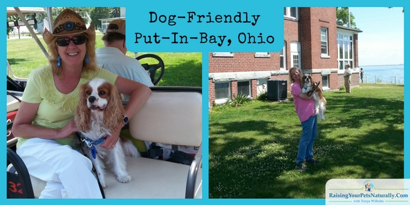 Dog-Friendly Vacations Dog-Friendly Day Trips: Dog-Friendly Put-In-Bay, Ohio