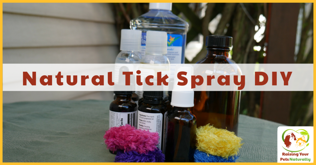 Best Natural Tick Treatment and Spray for Dogs | Essential Oils for