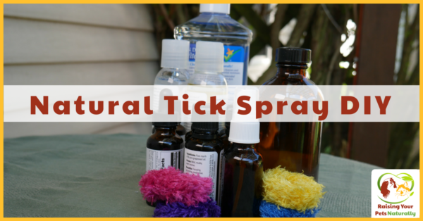 Best Natural Tick Treatment and Spray for Dogs | Essential Oils for Ticks on Dogs DIY ~ Raising