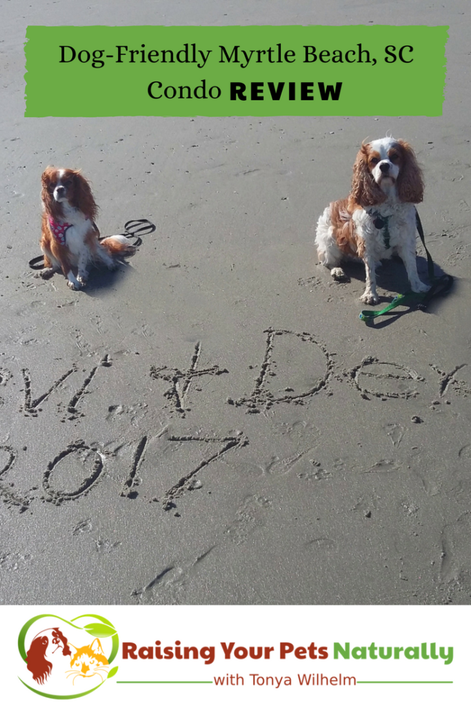 Dog-Friendly Myrtle Beach Vacations | Myrtle Beach Dog-Friendly Beach