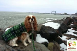 Dog-Friendly Duluth, Minnesota: Dog-Friendly Duluth Lakewalk ~ Raising