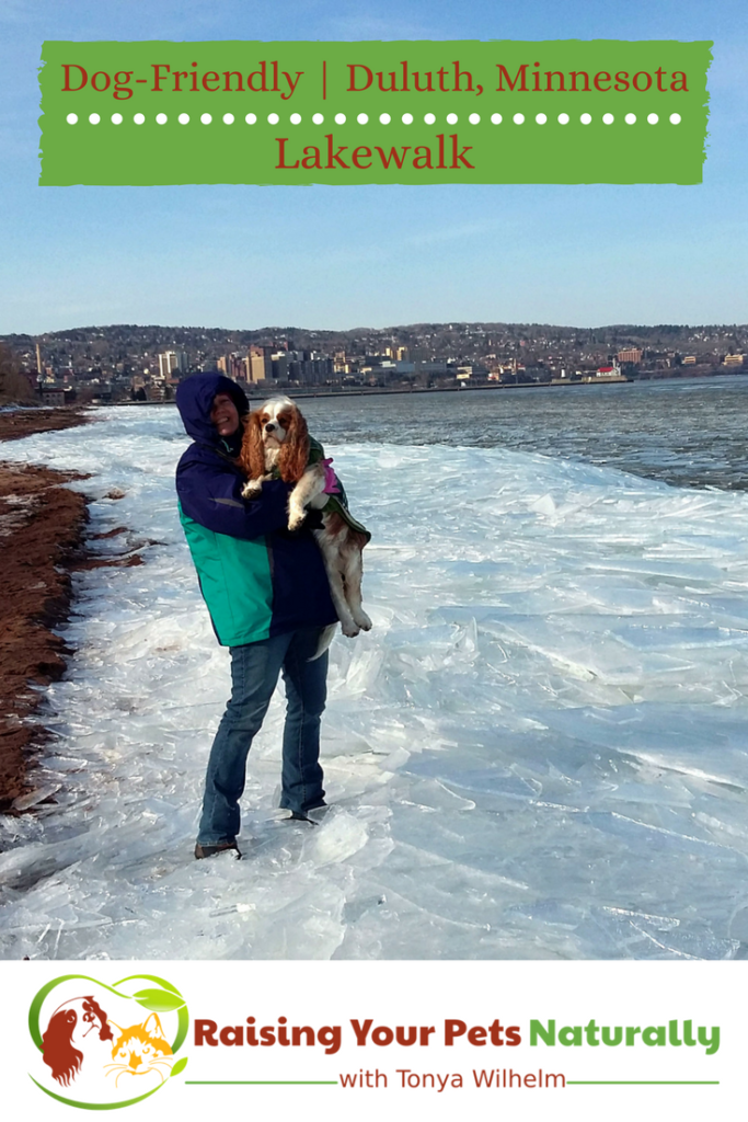 Dog-Friendly Duluth, Minnesota: Dog-Friendly Duluth Lakewalk ~ Raising