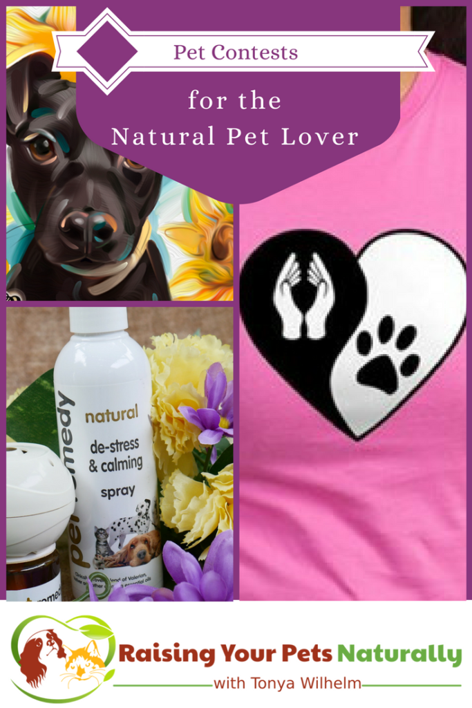 Pet Contests, Dog Contests, Cat Contests, Sponsor a Pet Blog