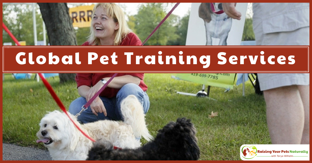 Dog and Cat Training and Behavior Services Offered Globally
