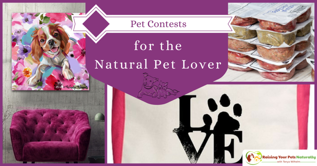 Pet Contests, Dog Contests, Cat Contests, Sponsor a Pet Blog