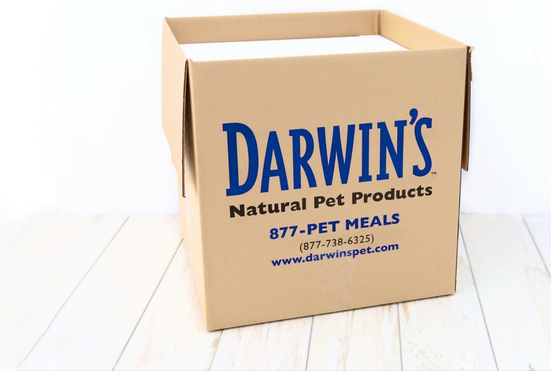 Dog and Cat Natural Raw Food Delivery Services SubscriptionStyle Pet