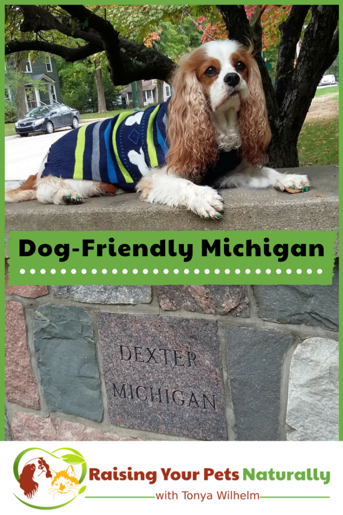 Dog-Friendly Vacations and Hotels: Dog-Friendly Michigan Dog-Friendly