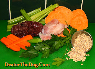 How to cook balanced meals for dogs