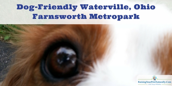 Dog-Friendly Toledo, Ohio Parks Dog-Friendly Waterville, Ohio: Farnsworth Metropark