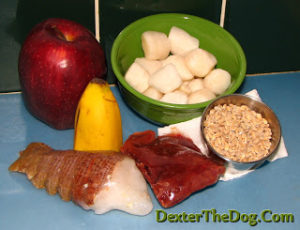 Healthy home cooking for dogs