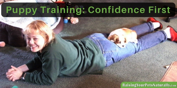 Puppy Training and How To Train a Puppy From Potty Training to Leash Training. What is the First thing to Train Your New Puppy?