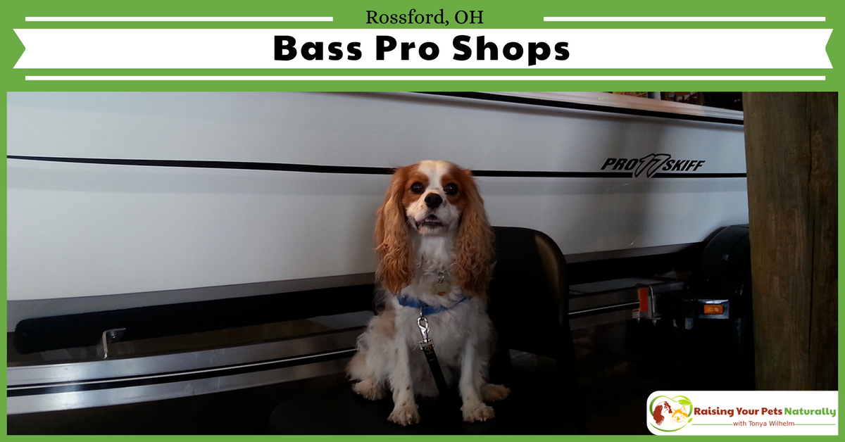 Dog-Friendly Ohio Stores and Activities, Rossford, Ohio If you are looking for an Ohio dog-friendly day trip, check out Bass Pro in Rossford, Ohio. #raisingyourpetsnaturally 