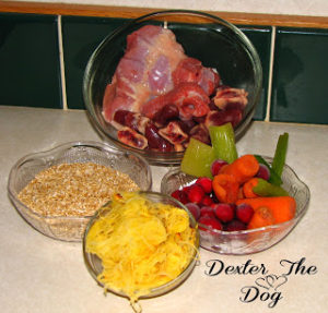 home made dog food recipes