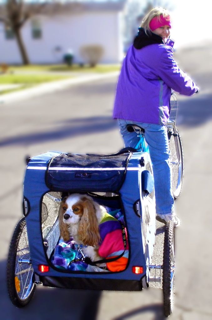 Track r Houndabout II Large Bicycle Trailer Review Dog Product Reviews