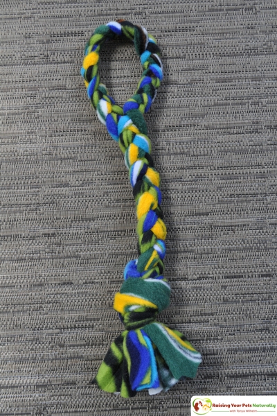 DIY for Dogs. How to make a dog tug of war toy out of fleece. Learn how easy it is to make a fun toy for dogs. #raisingyourpetsnaturally 