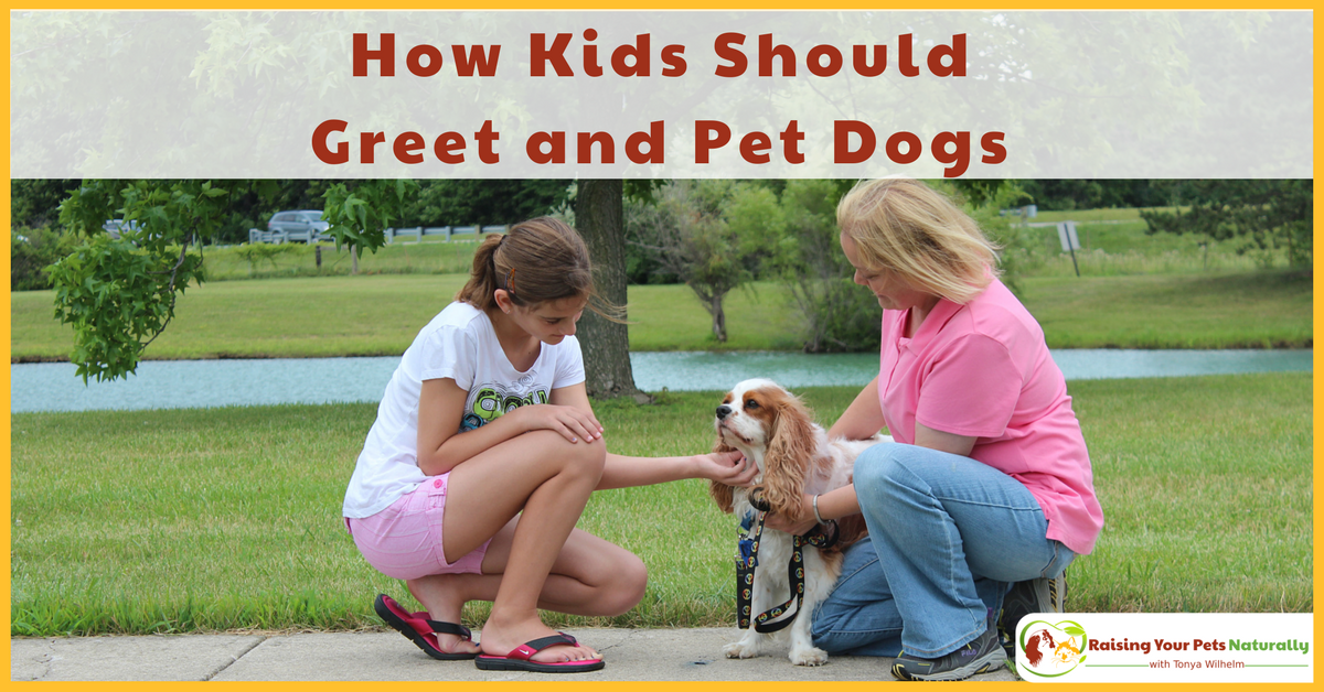 Kids and dogs can be amazing friends. Learn how to teach your child to greet, pet and say hello to dogs. #raisingyourpetsnaturally