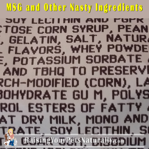 MSG Side Effects