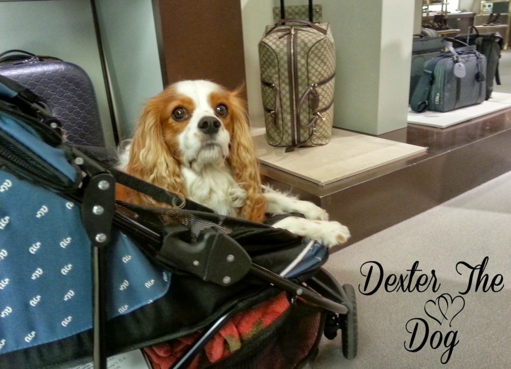 Pet Gear Special Edition Dog Stroller Review