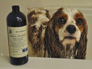 Non Toxic Dog Shampoo