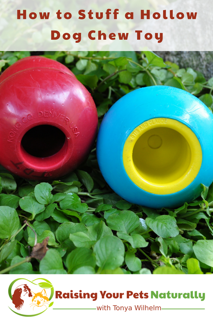 Learn How to Stuff or Fill a Hollow Dog Chew Toy and How to Fill a Kong. #raisingyourpetsnaturally