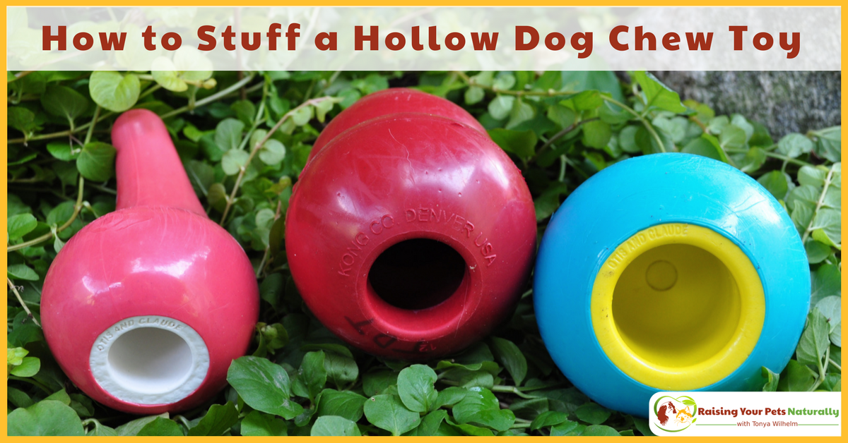 Learn How to Stuff or Fill a Hollow Dog Chew Toy and How to Fill a Kong. #raisingyourpetsnaturally