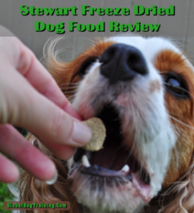 Raw, Healthy Dog Food 