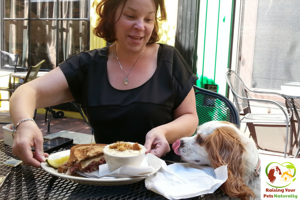 Dog-Friendly Vacations: Dog-Friendly Chicago, Illinois restaurants and cafes that allow dogs. Don't miss out on all the fun dog-friendly activities Chicago has to offer. Click to join the fun. #raisingyourpetsnaturally