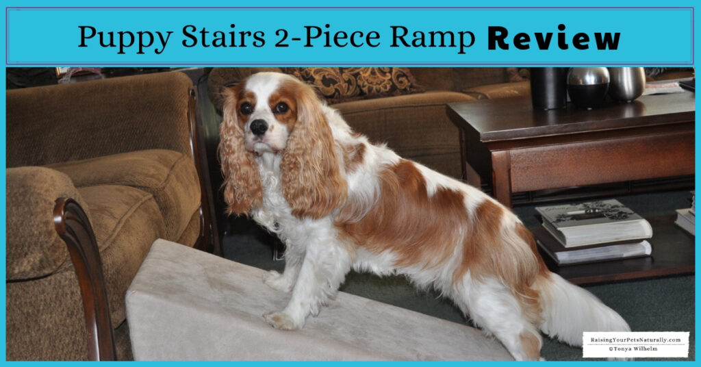 Best dog stairs and ramps for a bed