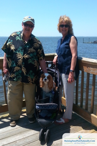 That was just one of our dog-friendly trips to Duck, NC! Another day we headed to The Waterfront Shops. They too were pretty dog-friendly and accommodating. We just continued to ask if Dexter could come in and they pretty much always said, "Yes." The shops were situated so that the walking was on a boardwalk facing the shores of The Currituck Sound and meets up to the Duck Town Boardwalk.