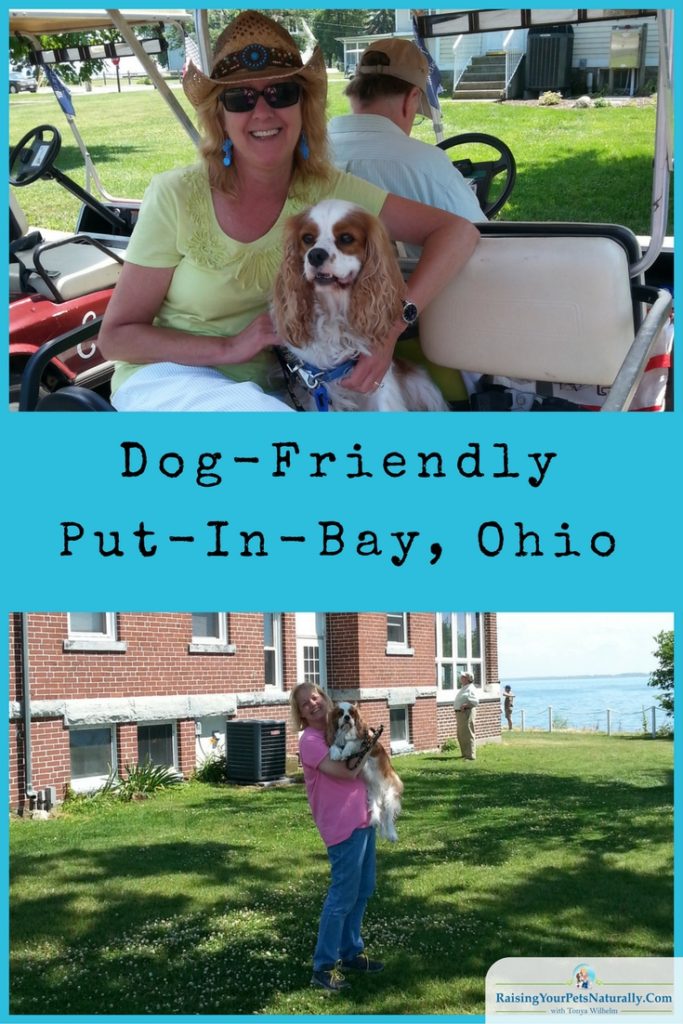 Dog-Friendly Day Trips: Dog-Friendly Put-In-Bay, Ohio. Fun activities, stores and cafes all at Put-In-Bay, Ohio.