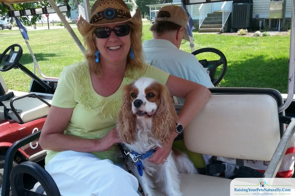 Pet-Friendly Golf Carts in Put-I-Bay