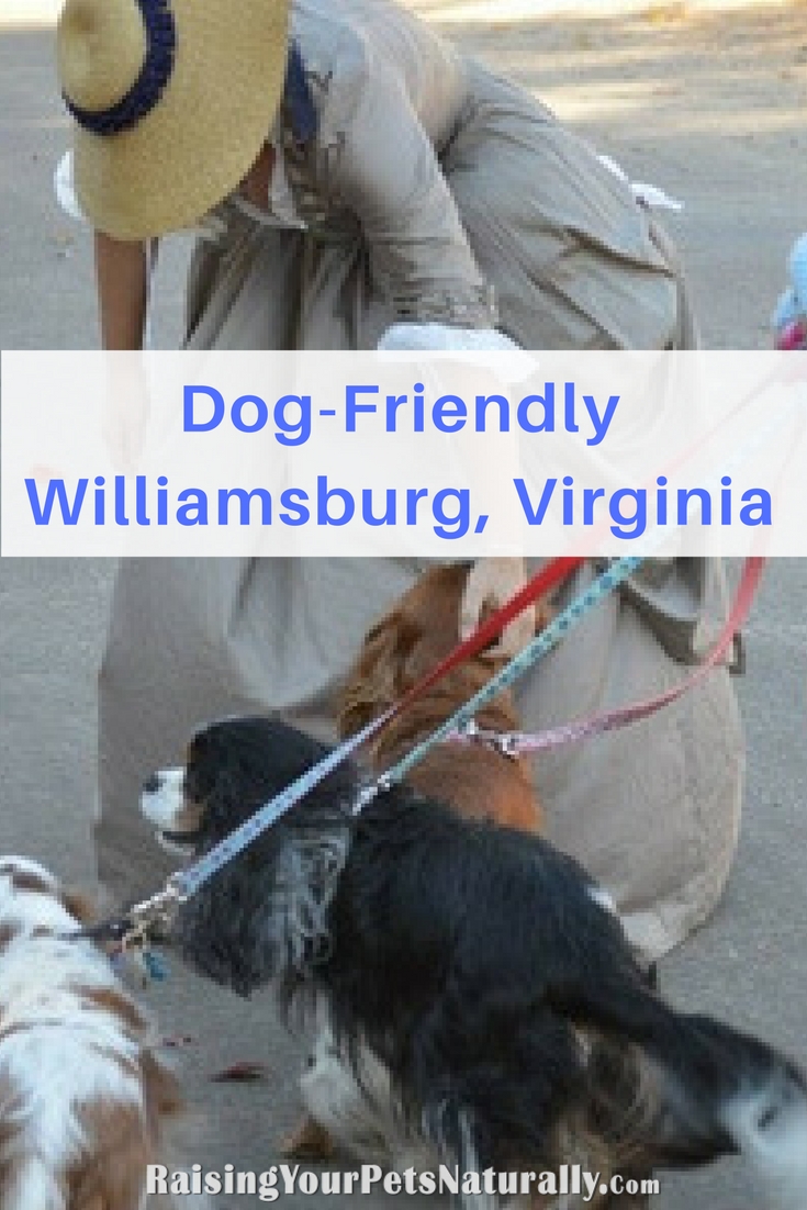 Dog-Friendly Vacations: Dog-Friendly Williamsburg, Virginia. Check out these fun dog-friendly activities in Williamsburg VA