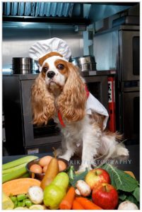 Dog Food Cookbook