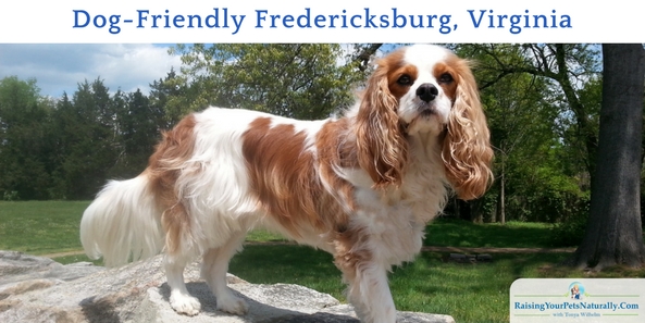 Dog-Friendly Fredericksburg, Virginia. Check out the great dog-friendly attractions, restaurant and hotel during our trip.