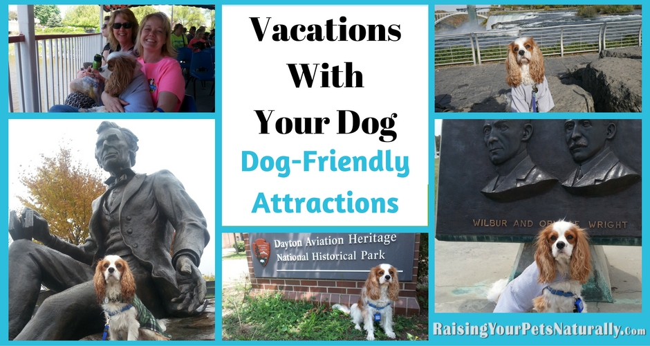 Dog Friendly Attractions, Traveling with Dogs, Vacations with Dog