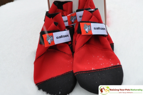 Dog Shoes and Dog Boots for Snow. Saltsox Urban Booties Dog Boots that Stay On! #raisingyourpetsnaturally