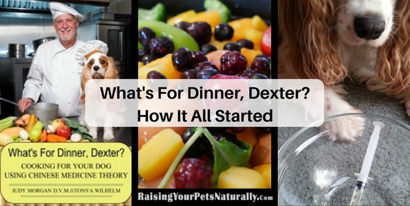 What's For Dinner, Dexter? The Back Story Learning how to home cook a healthy and balanced meal for your dog.