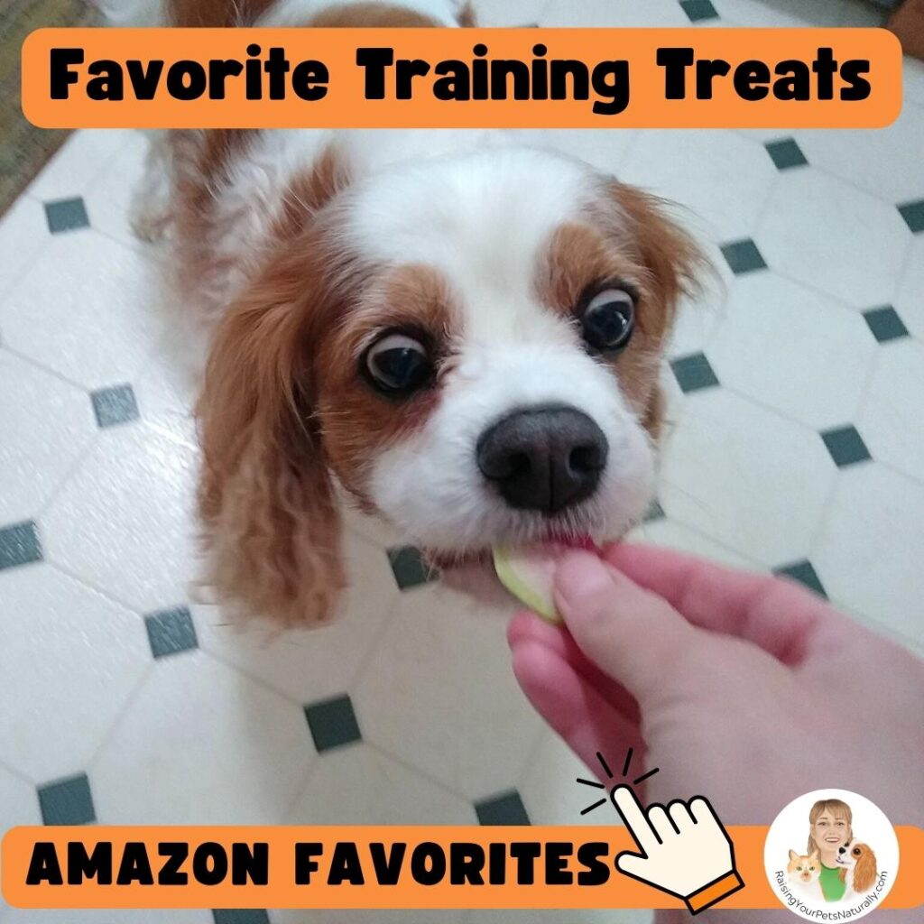 Best dog training treats