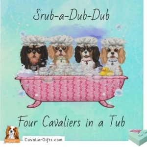 Cavalier Spaniel Art Prints