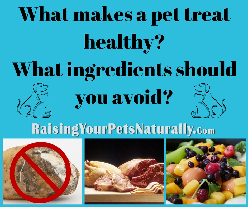 Do you know how to spot healthy dog treats? Are you sure all natural dog treats are healthy? Here are my top tips and 10 items to avoid. #raisingyourpetsnaturally 