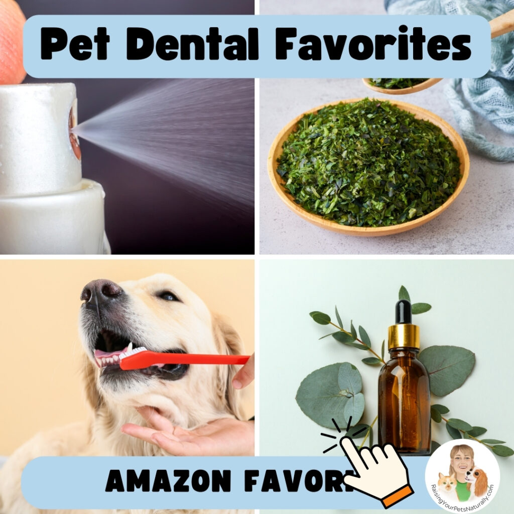 Natural dental care for pets.