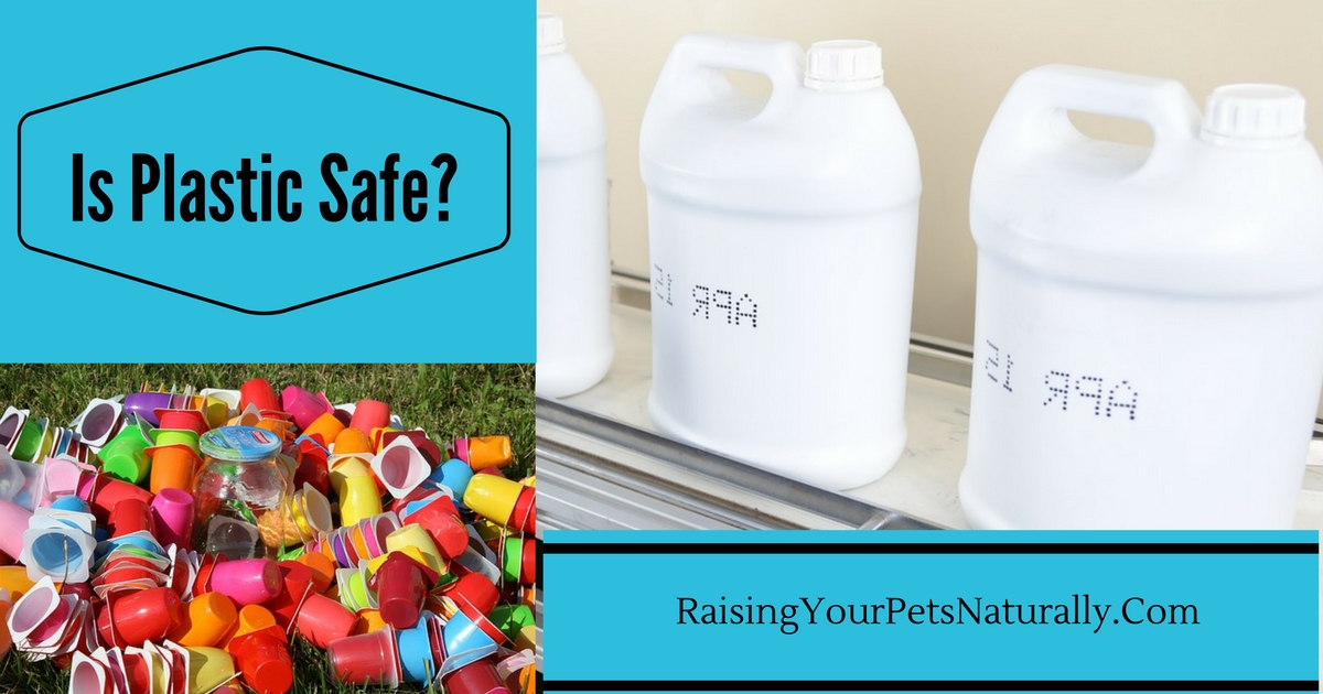 Is it Safe for pets to Eat and Drink out of Plastic? BPA-Free is it really safe? #raisingyourpetsnaturally