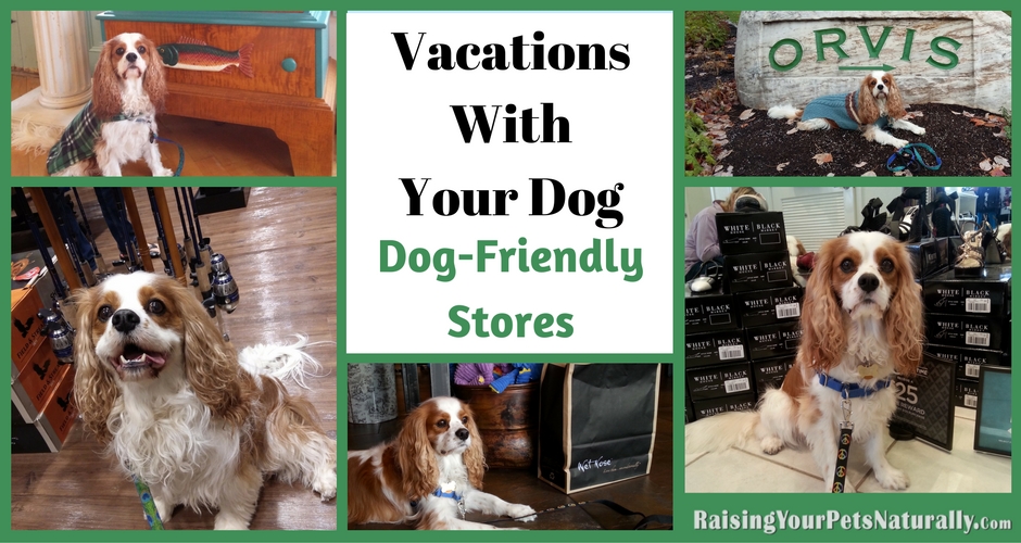 Dog-friendly stores and shopping centers. Vacations with your dogs can be so much fun when you find dog-friendly stores and shops! #raisingyourpetsnaturally 