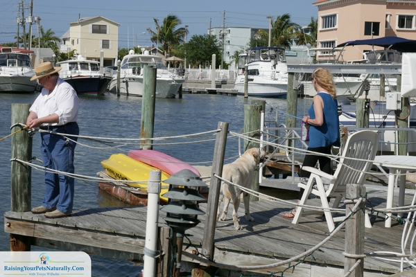 Dog-friendly fishing charters in florida