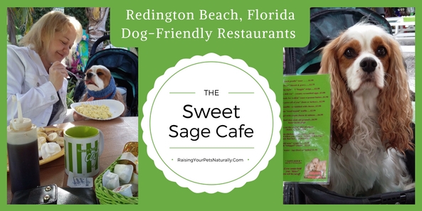 Dog-Friendly Restaurants in North Redington Beach, Florida : The Sweet Sage Cafe. On our first trip to Sweet Sage Cafe and Boutique, (yes, we ate there three times - it was that good), I was impressed by the tranquil and fun outdoor seating area. It was huge and full of such fun and eclectic items. The staff was very friendly, efficient and welcoming. Dexter was greeted with enthusiasm and they brought him his own water bowl as they sat us.