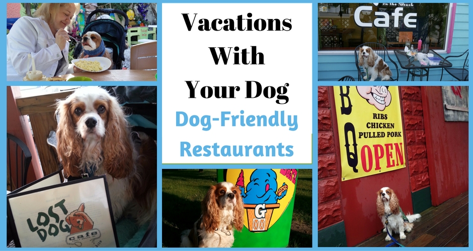 After a hard day of sightseeing with your dog, you may be a bit hungry. Here are some of our favorite dog-friendly restaurants. Enjoy and save a bite for your pooch.