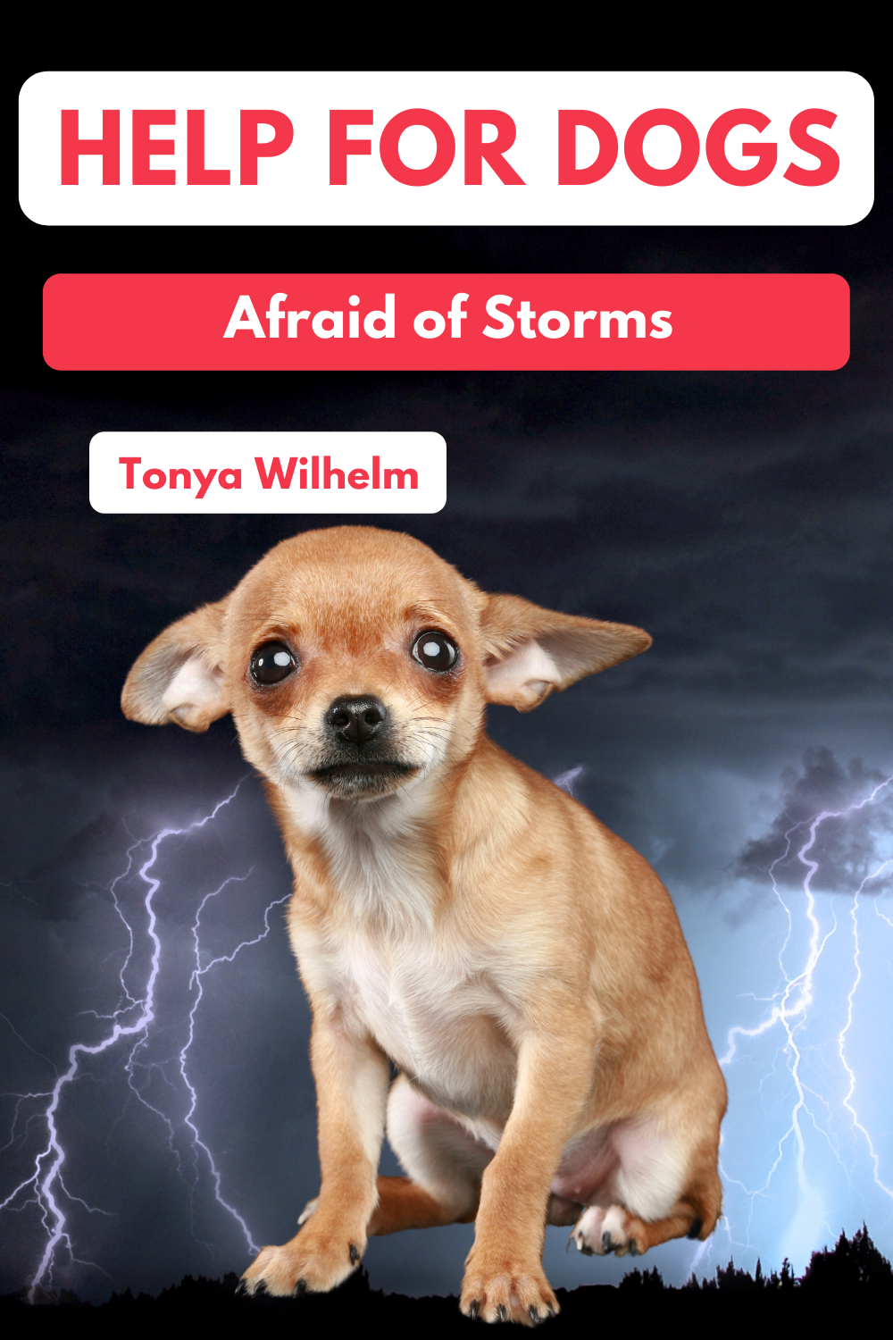 Dog Behavior, Scared Dog, Fearful Dog Training: Dog Scared of Thunder