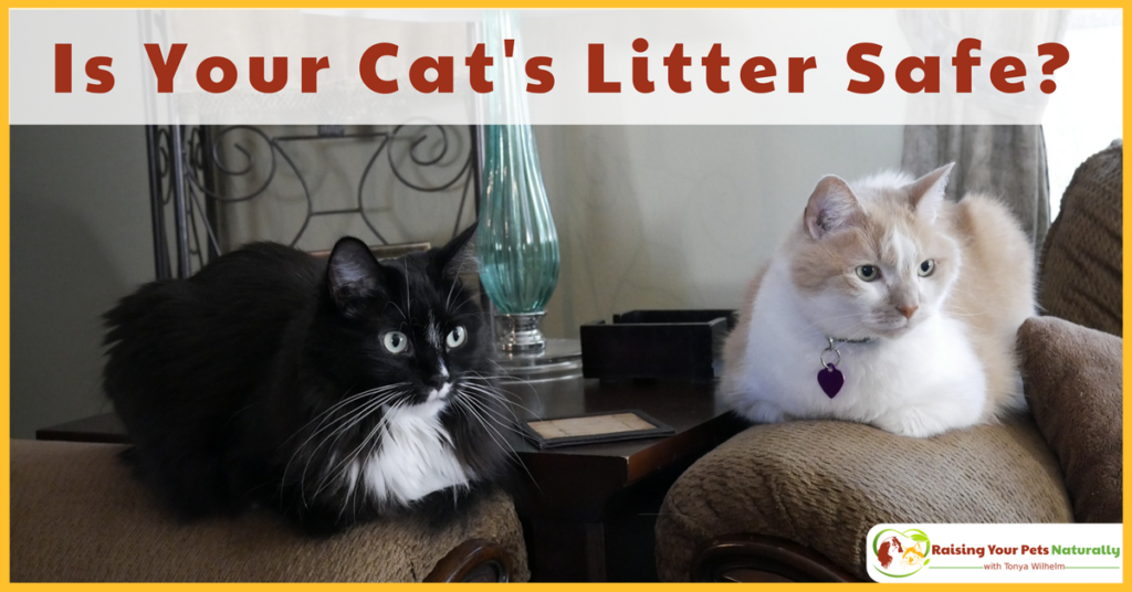 Is your cat litter safe or toxic? If you are looking for the best natural cat litter, you'll want to read this article. #raisingyourpetsnaturally