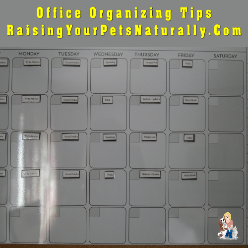 Office Organization Tools