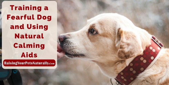 Training a Fearful Dog and Using Natural Calming Aids. Learn how to successfully use natural calming aids to assist in your fearful dog's training program. #raisingyourpetsnaturally 